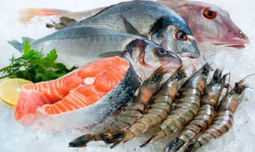 Banner màu của năm