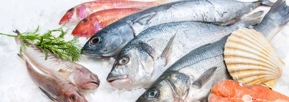 Banner đẹp tự nhiên