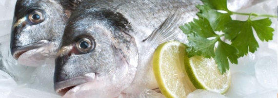 Banner rực rỡ sắc môi