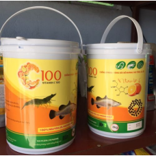 C100 (Vitamin C 100)