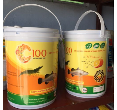 C100 (Vitamin C 100)